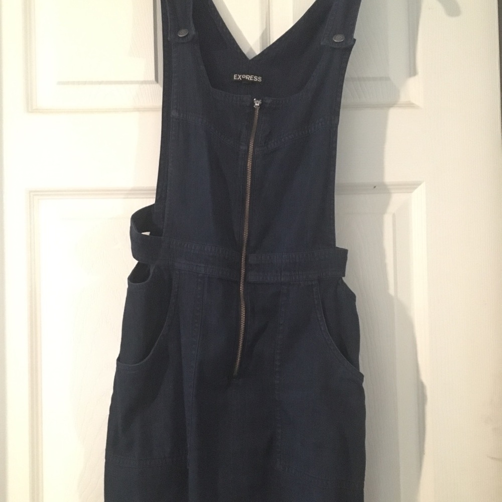 Express Denim Dress